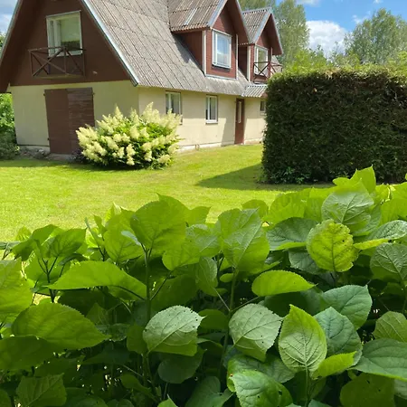 Puhkemaja Puhkus Kamaveski Jaerve Aeaeres Appartement