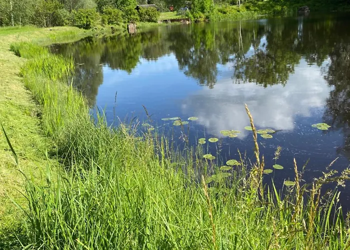 Puhkemaja Puhkus * Vardi