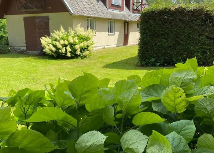 Puhkemaja Puhkus Lägenhet